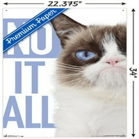 Пргав Мачка - Син Ѕид Постер со Притисни Иглички, 22.375 34