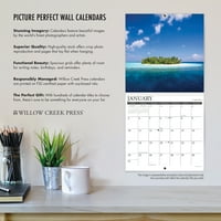 Willow Creek Press Само календар на wallидови од калико мачки