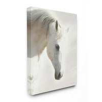 Tupleple Industries бел портрет портрет Минимален југозападен дизајн на коњи од Кари Брукс, 36 48
