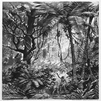 Бразил: Шумски Индијанци. Домородните Бразилци Користат Мајмуни За Да Соберат Кокос Во Прашумата. Фотографија, 1892. Постер