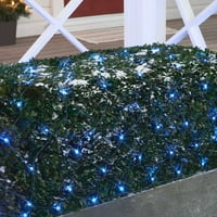 Време на одмор сини предводени нето Божиќни светла, 6 '4', брои