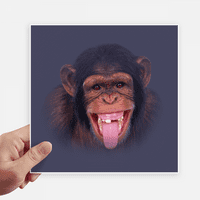 Орангутаните Се Смеат Човечка Коса Налепница Тагови Ѕид Слика Лаптоп Налепница Самолепливи