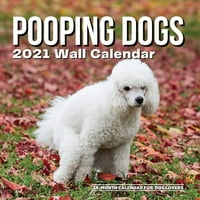 Календар на кучиња за кучиња: смешно
