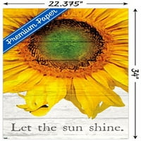Али Крис - Нека Сонцето сјае wallид постер, 22.375 34