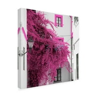 Заштитен знак Ликовна Уметност Направено Во Шпанија Розово Дрво Во Севиља Платнена Уметност Од Филип Хугонард