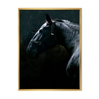 DesignArt „Затвори на Торборедни Нониус Сталион коњ II“ Фарма куќа врамена платно за печатење на wallидни уметности