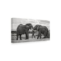 Ксавиер Ортега „Бик слонови игра“ платно уметност