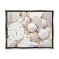 Бели измешани школки од песок долар крајбрежната фотографија сјај сива врамена уметничка печатена wallидна уметност