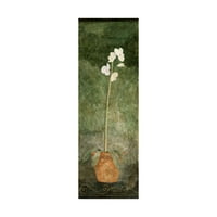 Трговска марка ликовна уметност „Бела орхидеја во тенџере на зелена„ платно уметност од Пабло Естебан